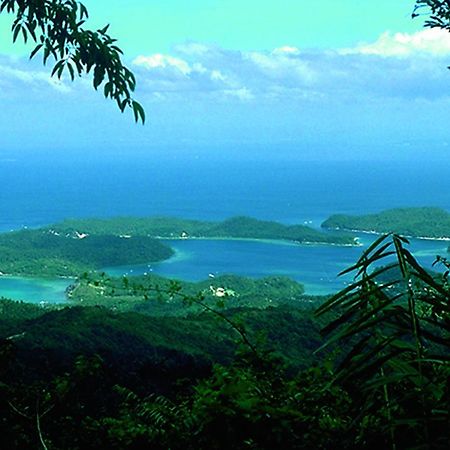 Bamboo Beach Resort Puerto Galera Buitenkant foto