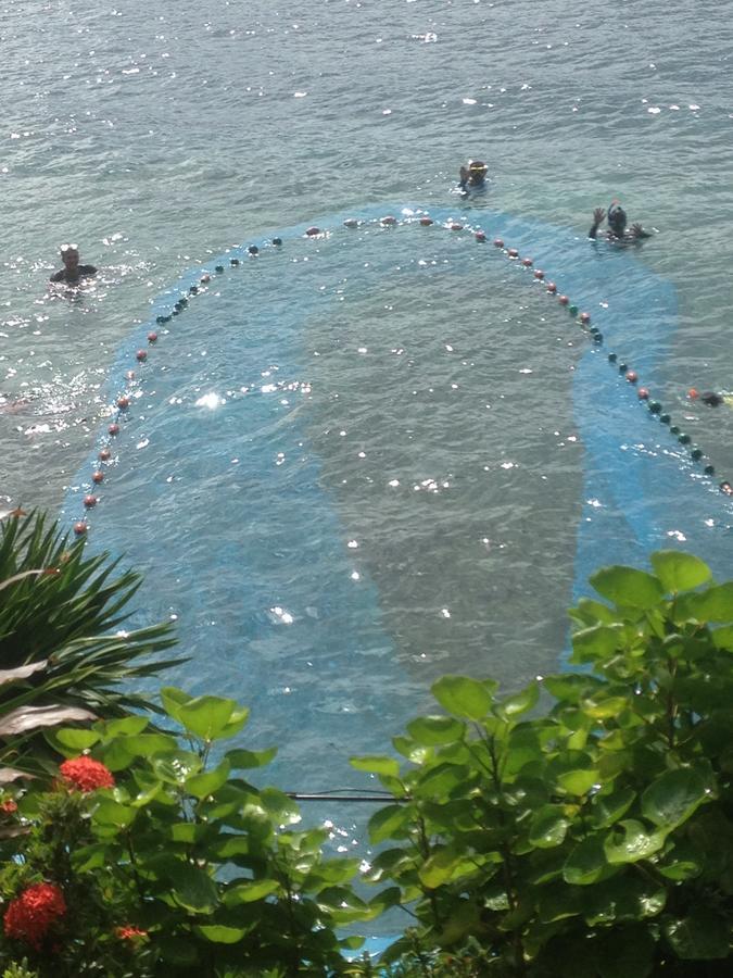 Bamboo Beach Resort Puerto Galera Buitenkant foto