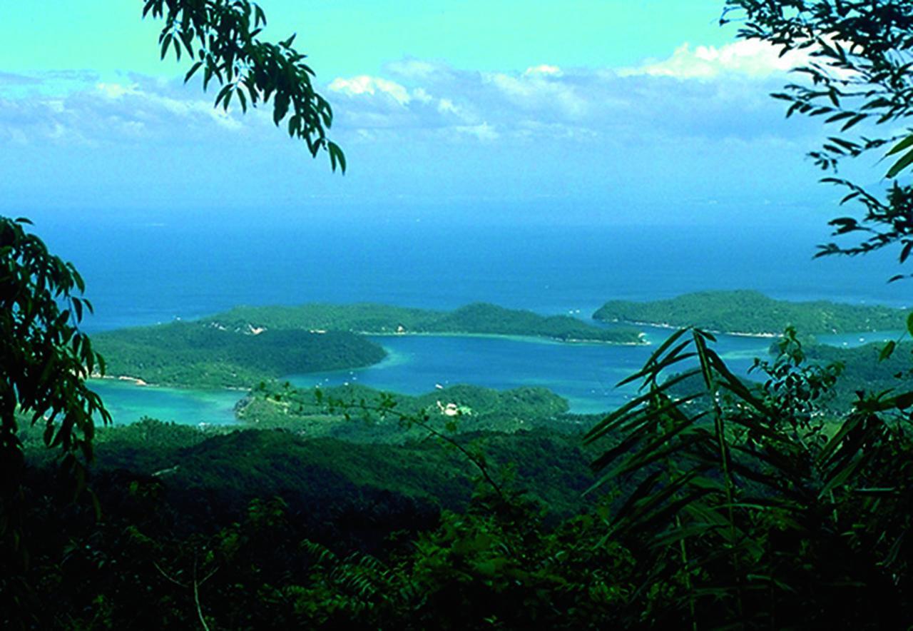Bamboo Beach Resort Puerto Galera Buitenkant foto